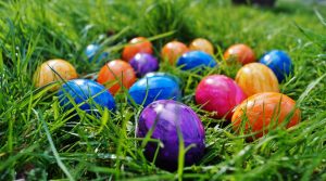 Eieren Zoeken 300x167