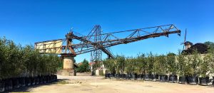 Open Monumentendag op GOUDasfalt @ GOUDasfalt