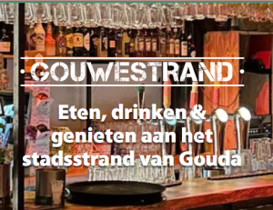 gouwestrand 1