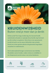 Wildplukwandeling kruidenwijsheid flyer a5 v4 1